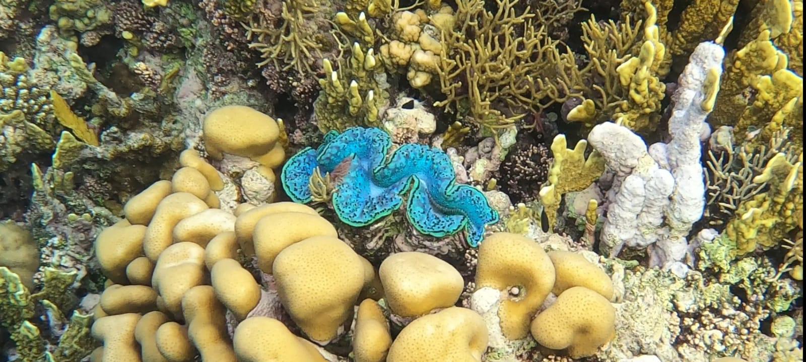 3397aee0-3d28-47f8-b3de-1548cbdb5792