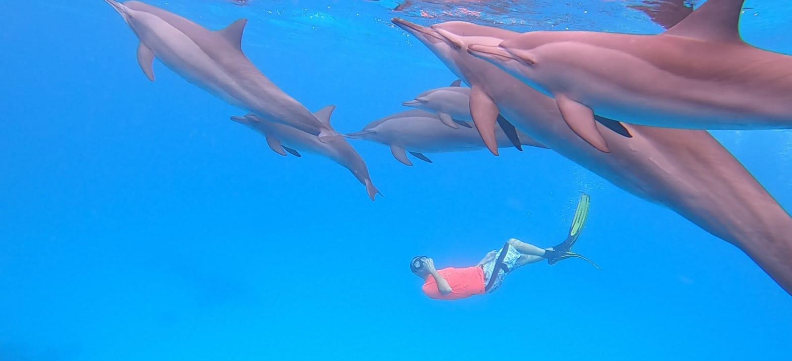 9780ff9e-ee0c-4eb0-97b3-34768f733201