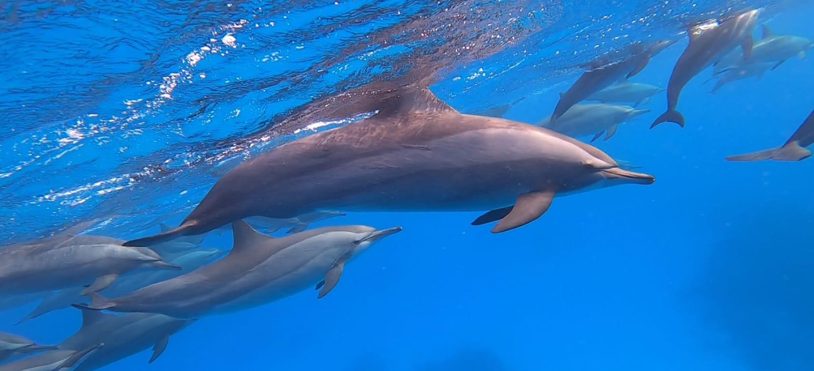 a13313d2-301b-4147-ade9-3dd9e5f10780