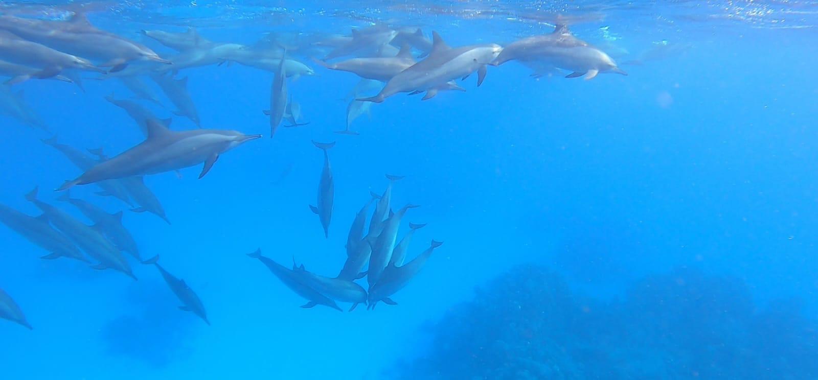 b597c272-a0b5-453b-9d1e-5b085d8ad089