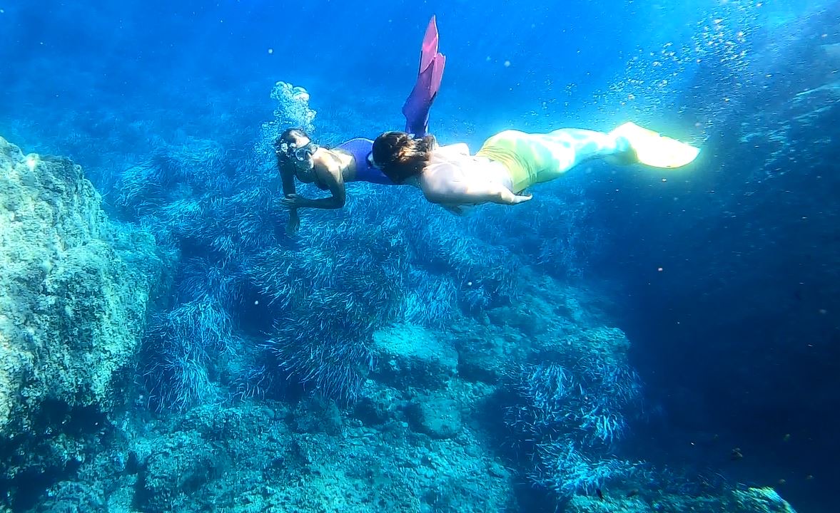 Stage Sirénéa nage sirène calanques Estérel Théoule-sur-Mer